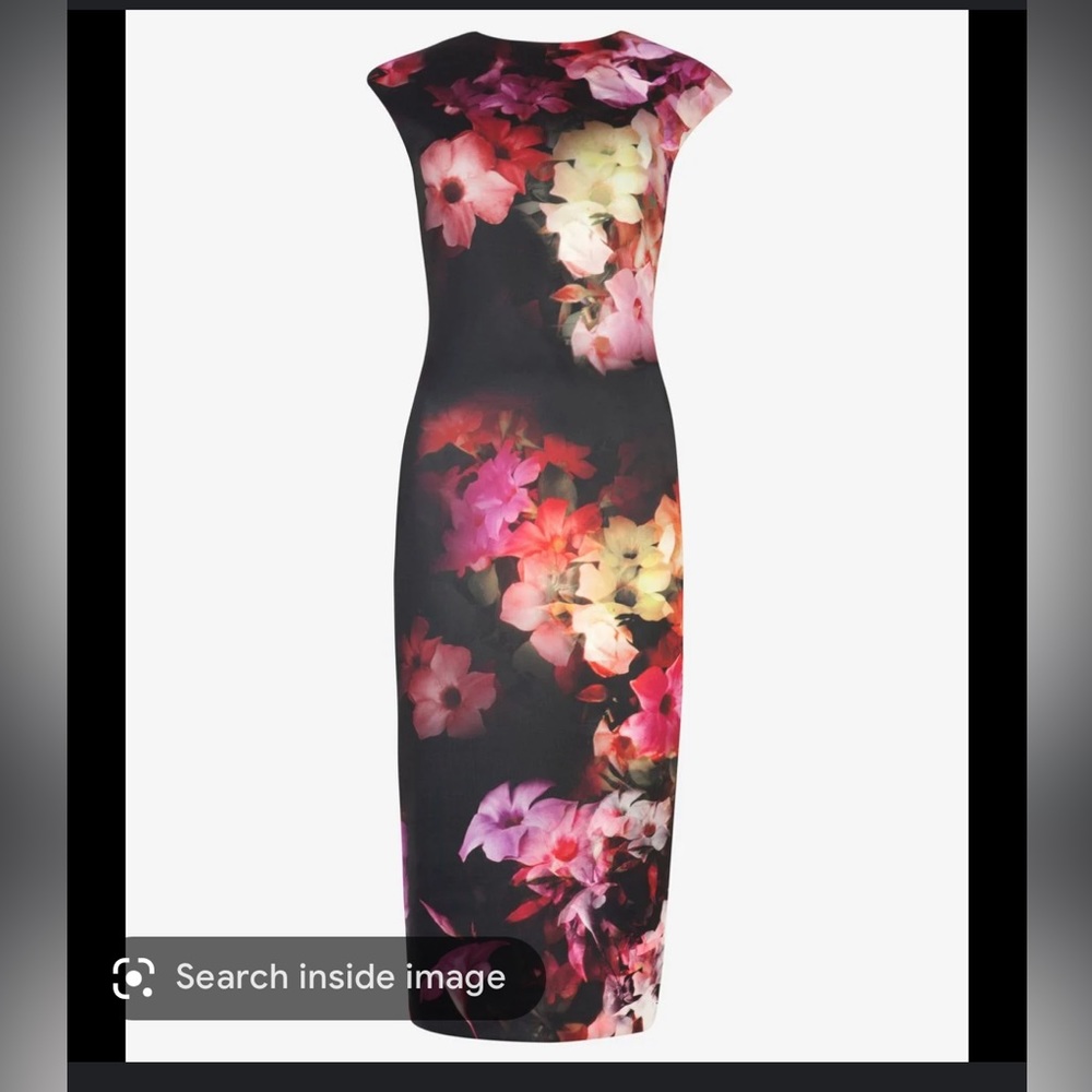 Ted Baker Catina dress